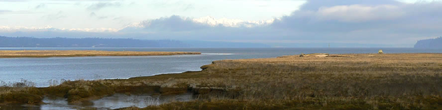 Nisqually Delta Restoration