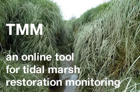 Tidal Marsh Monitoring