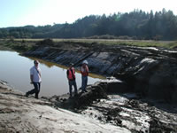 Restoring an Estuary