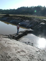 Restoring an Estuary