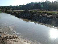 Restoring an Estuary