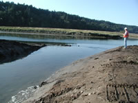 Restoring an Estuary